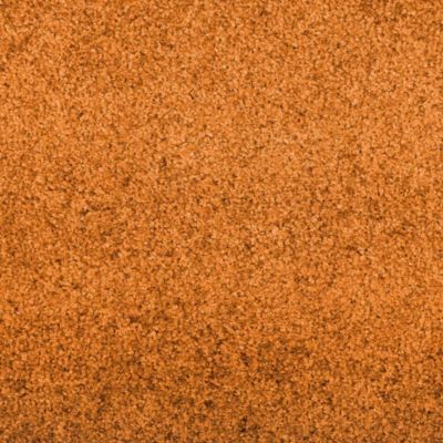 Tapis d'entrée Orange et Noir 120 x 250 cm 100% Polyamide vidaXL