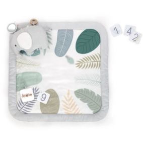 Tapis d'éveil évolutif Sprout Spot, 12 cartes évolutives et 5 jouets détachables