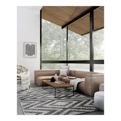 Tapis design plat gris intérieur et extérieur Cleo 230x160 CM - Gris