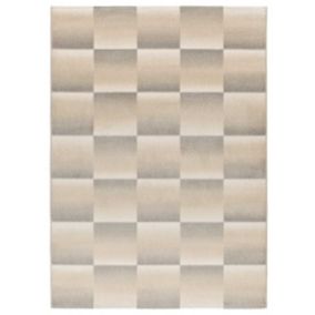 Tapis intérieur ATTICGO argent rectangulaire géométrique 160x230 cm SENSATION