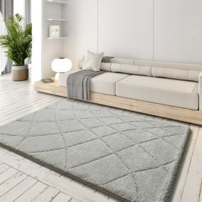 Tapis intérieur ATTICGO argent rectangulaire shaggy 133x190 cm MOLIER