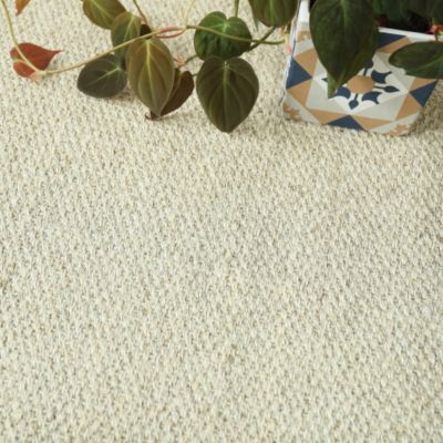 Tapis Sisal - Tulum écru - Ganse coton anthracite - 250 x 350 cm