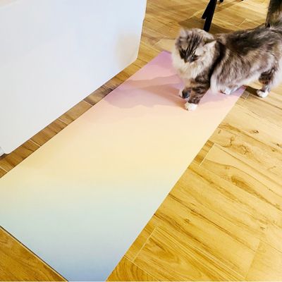 Tapis Vinyle Arc en ciel - 99deco - L 200 x l 50 cm Ep. 2 mm