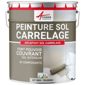 Telegris 4 - RAL 7047 - 10 kg (jusqu'à 50 m² en 2 couches) - ARCANE INDUSTRIES