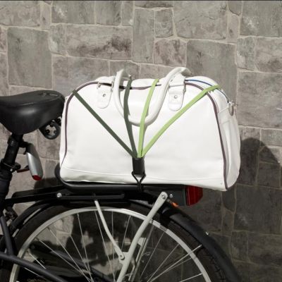 Tendeur plat smoothie multi 70 cm