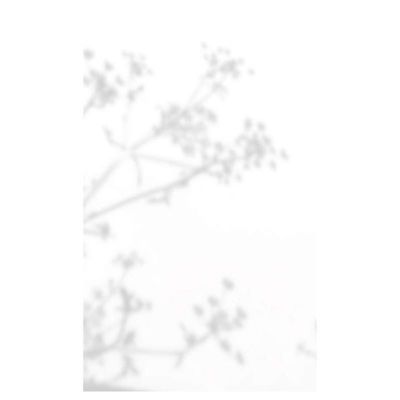 Tenture murale extérieure imprimée ANETH DOUX, H.2 x L.1.2 m, Made in France par Scenolia