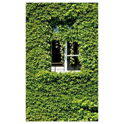 Tenture murale extérieure imprimée CACHETTE, H.2 x L.1.2 m, Made in France par Scenolia