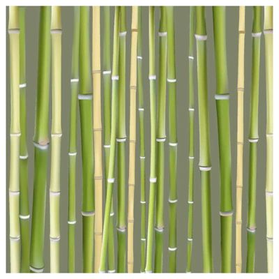 Tenture murale extérieure imprimée TAKENOKO, H.1.5 x L.1.5 m, Made in France par Scenolia