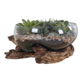 Terrarium San, Marron, Bois, 26x26x20 cm, EPIKASA