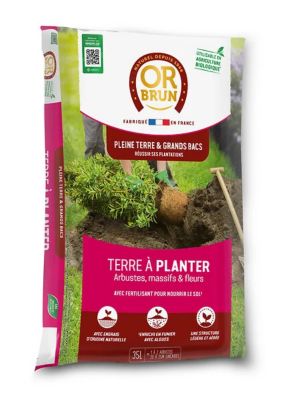 Terre à planter arbustes, massifs et fleurs Or Brun 35L