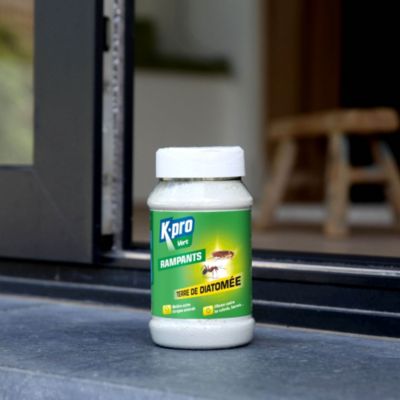 Terre de diatomée pour rampants Kapo vert 100g