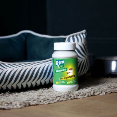 Terre de diatomée pour rampants Kapo vert 100g