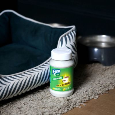 Terre de diatomée pour rampants Kapo vert 100g