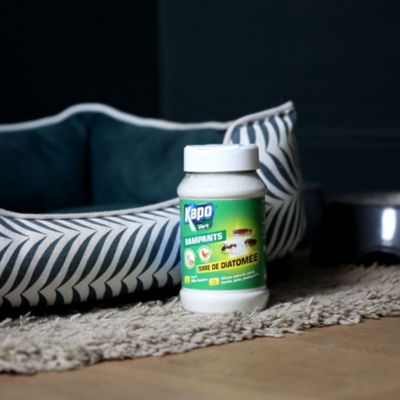 Terre de diatomée pour rampants Kapo vert 100g