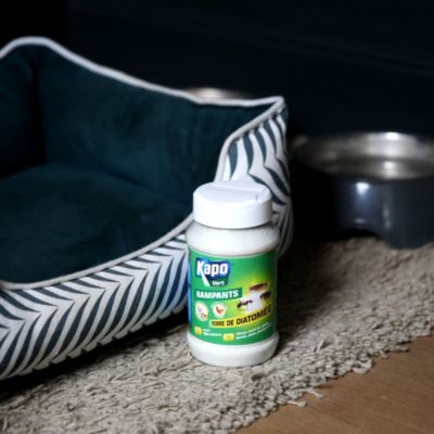 Terre de diatomée pour rampants Kapo vert 100g
