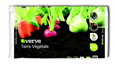 Terre végétale pour plantes Verve 25 L