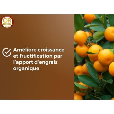Terreau agrumes & Plantes méditerranéennes - OR BRUN - OBRTAGR6U - 6L ...