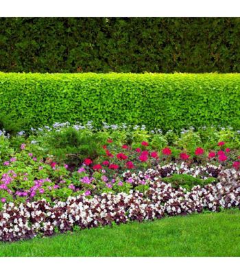 Terreau complet prêt à l'emploi Flori Fleurissement PAE 70L  idéal pour pots et balcon - Florivert NEG01617