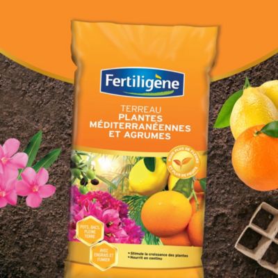 Terreau plantes méditerranéennes et agrumes Fertiligène 40L