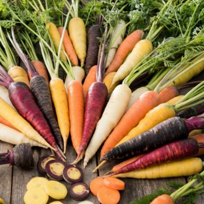 Terreau sans tourbe pour potager 50L GoodHome