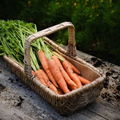 Terreau sans tourbe pour potager 50L GoodHome
