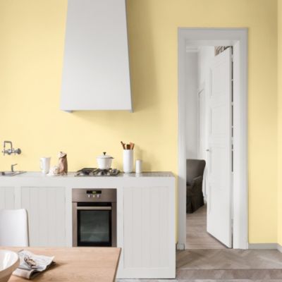 Testeur de peinture Color Resist cuisine Dulux Valentine mat citronnade 30ml