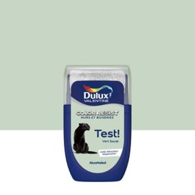 Testeur de peinture Color Resist murs et boiseries Dulux Valentine mat vert saule 30ml