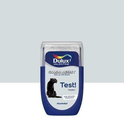 Testeur de peinture Color Resist salle de bains Dulux Valentine satin vapeur 30ml
