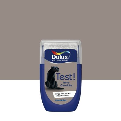 Testeur de peinture Crème De Couleur Dulux Valentine terre cendrée 30 ml