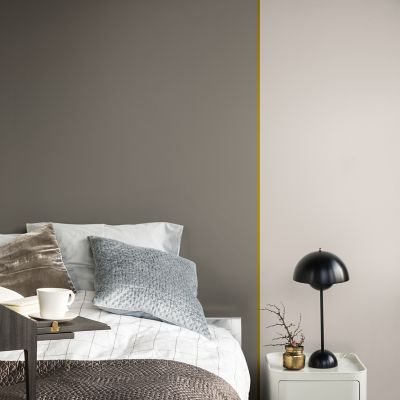 Testeur de peinture Crème De Couleur Dulux Valentine terre cendrée 30 ml