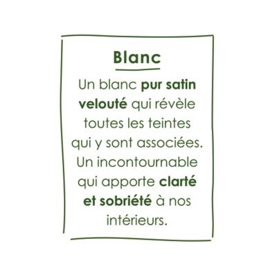 Testeur peinture blanc satin velouté Ripolin O'pur 75 ml