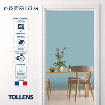 Testeur peinture bleu grisé velours Tollens Premium 50 ml