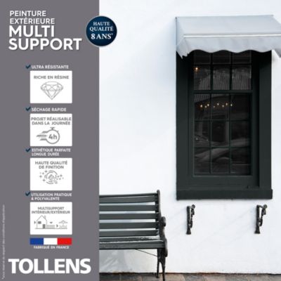 Testeur peinture extérieure multi-supports noir RAL 9005 satin Tollens 125 ml