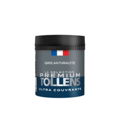 Testeur peinture gris anthracite velours Tollens Premium 50 ml