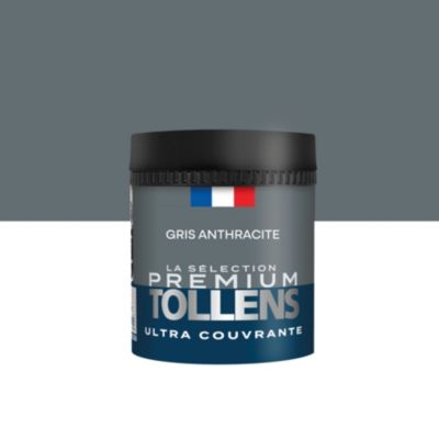 Testeur peinture gris anthracite velours Tollens Premium 50 ml