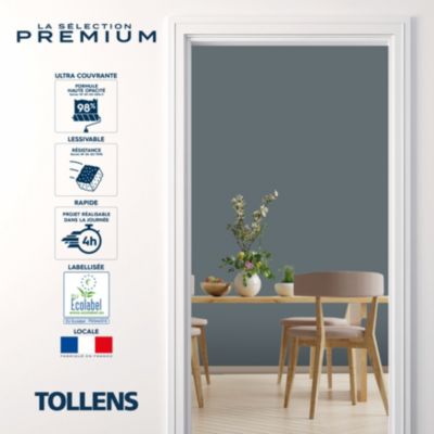 Testeur peinture gris anthracite velours Tollens Premium 50 ml