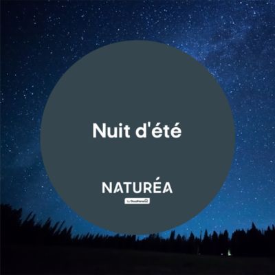 Testeur peinture gris nuit d'été velours GoodHome Naturéa 70 ml