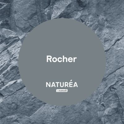 Testeur peinture gris rocher velours GoodHome Naturéa 70 ml