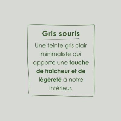 Testeur peinture gris souris satin velouté Ripolin O'pur 75 ml