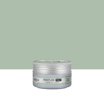 Testeur peinture Meuble Signé Libéron vert d'eau mat 75 ml