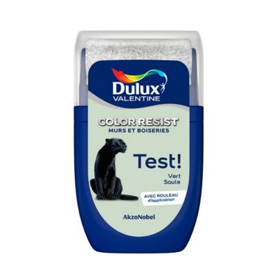 testeur peinture murs et boiseries dulux valentine color resist vert saule mat 30ml castorama