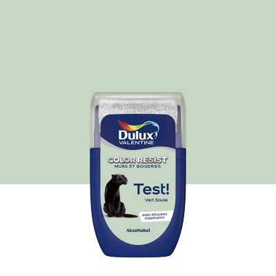 testeur peinture murs et boiseries dulux valentine color resist vert saule mat 30ml castorama