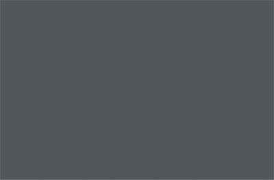 Testeur peinture Tollens premium murs, boiseries et radiateurs gris anthracite mat 50ml