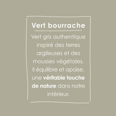 Testeur peinture vert bourrache satin velouté Ripolin O'pur 75 ml