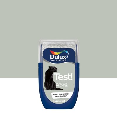 Testeur peinture vert douceur de l'aube Dulux Valentine Crème de couleur 30 ml