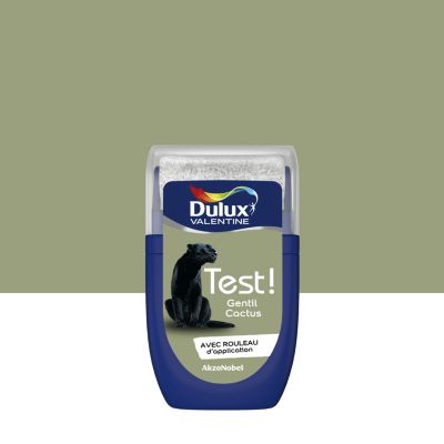 Testeur peinture vert gentil cactus satin Dulux Valentine Crème de couleur 30 ml