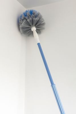 Tête de loup avec manche Elephant 180 cm