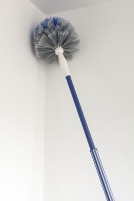 Tête de loup avec manche téléscopique Élephant