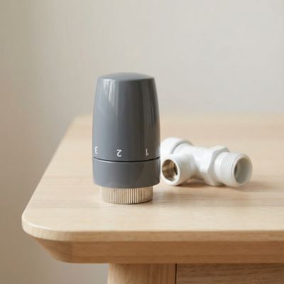 Tête thermostatique à visser design Blyss anthracite