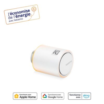 Tête Thermostatique Intelligente Additionnelle Netatmo
